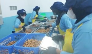 BGN Gandeng Yayasan Alam Abadi Banten Launching SPPG Sangiang Jaya 2 di Tangerang