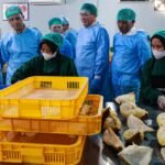 Mentrans Lepas Ekspor 459 Ton Durian Senilai Rp42,5 Miliar ke Tiongkok