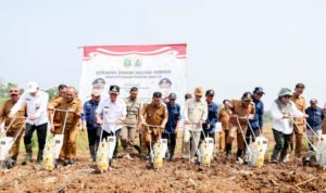 Pemprov Banten Canagkan Gerakan Tanam Jagung di Lebak