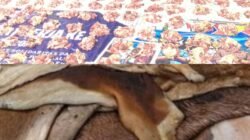 Hukum Menjual Daging dan Kulit Hewan Kurban