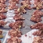 Tips Menyimpan Daging Kurban Agar Awet dan Tetap Segar
