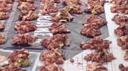 Tips Menyimpan Daging Kurban Agar Awet dan Tetap Segar