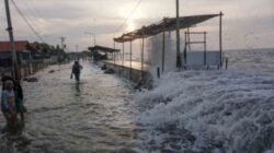 Waspada! BMKG Peringatkan Potensi Banjir Rob di Pesisir Indonesia 8 hingga 25 Juni 2026
