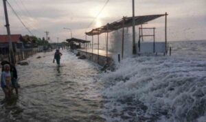 Waspada! BMKG Peringatkan Potensi Banjir Rob di Pesisir Indonesia 8 hingga 25 Juni 2026
