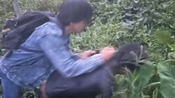 Beraksi 20 Kali, 2 Tersangka Pencurian Spesialis Rumah Kosong Ditangkap