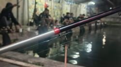 Perbedaan Joran Carbon Solid dan Hollow untuk Pemancing