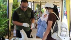 DKP Kota Tangerang Gelar Layanan Vaksinasi Rabies Gratis