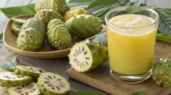 Manfaat Buah Mengkudu untuk Kesehatan Tubuh jika Dikonsumsi Teratur