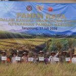 Panen Raya Padi Program TNI di Tangerang Dukung Ketahanan Pangan Nasional