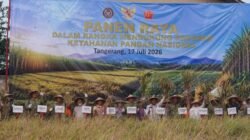 Panen Raya Padi Program TNI di Tangerang Dukung Ketahanan Pangan Nasional