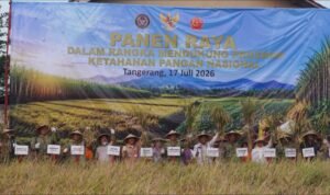 Panen Raya Padi Program TNI di Tangerang Dukung Ketahanan Pangan Nasional