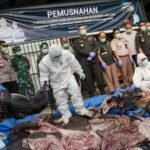 Barantin Gagalkan Penyeludupan 3 Ton Daging Babi Hutan dan 600 Kg Labi-labi Tanpa Dokumen