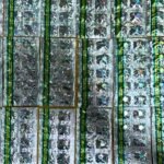 Edarkan Obat Keras Ilegal, Pria di Tangerang Ditangkap Polisi