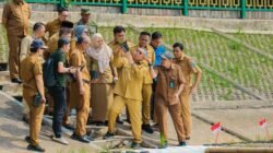 Pemkot Tangsel Uji Coba Tanam Padi Apung di Tandon Ciater