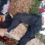 Niat Hindari Tawuran, 2 Pelajar SMP Kota Tangerang Malah Tewas Tabrak Trotoar