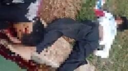 Niat Hindari Tawuran, 2 Pelajar SMP Kota Tangerang Malah Tewas Tabrak Trotoar