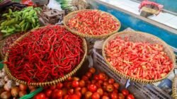 Harga Komoditas Cabai Melonjak, Inflasi Kota Tangerang Stabil